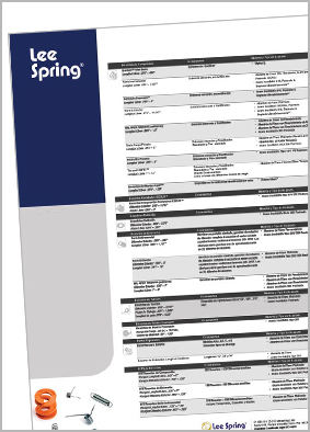lee spring capabilities flyer mexico