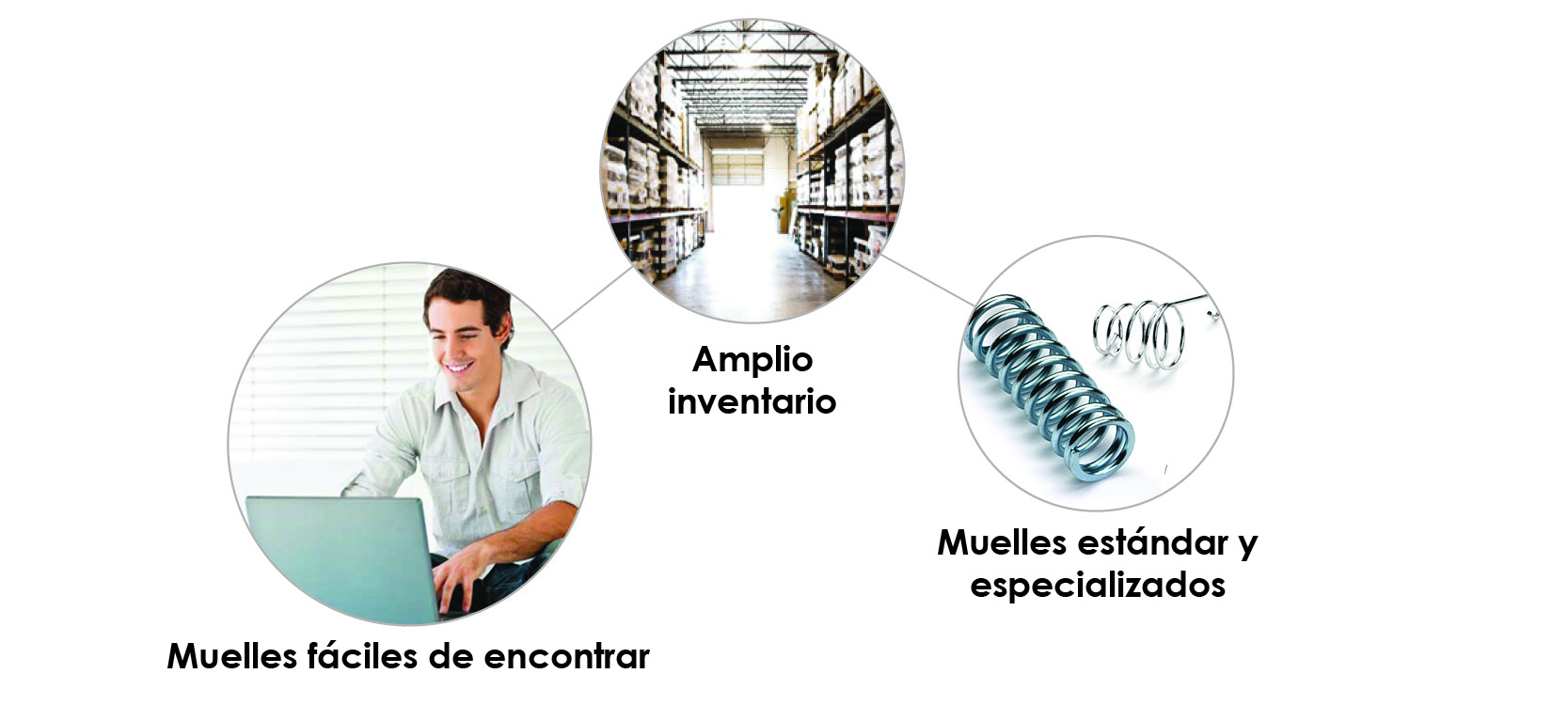 muelles de catalogo